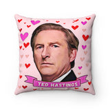 HUG CUSHION! Gift A Hug From Ted Hastings. Great Line Of Duty Fan Present. Stunning Design on 14" by 14" Beautiful Faux Suede Cushion!