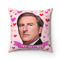 HUG CUSHION! Gift A Hug From Ted Hastings. Great Line Of Duty Fan Present. Stunning Design on 14" by 14" Beautiful Faux Suede Cushion!