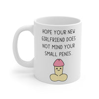 Hope Your New Girlfriend Does Not Mind Your Small PENIS Funny Rude Revenge Insult Gift Mug Ex Boyfriend Present